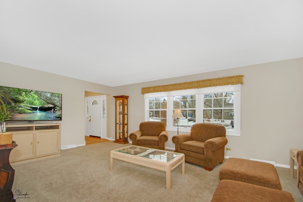 53 Bunting Ln, Naperville, IL 60565 - photo 1