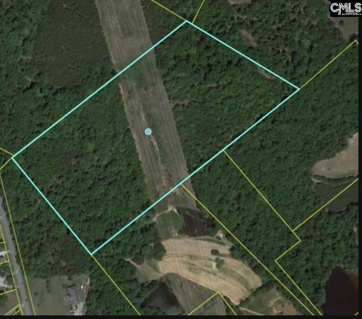 E/S E Dreher Shoals Rd, Irmo, SC 29063 - photo 1