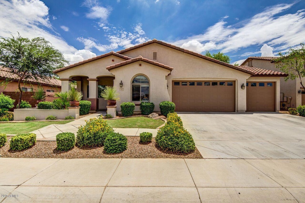 439 W Basswood Ave, San Tan Valley, AZ 85140 - photo 1