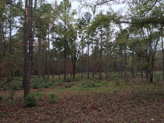 00 Sawdust Rd, Harlem, GA 30814 - photo 1