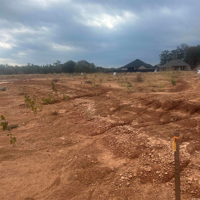 69 Corniche Cove, Maumelle, AR 72113 - photo 1