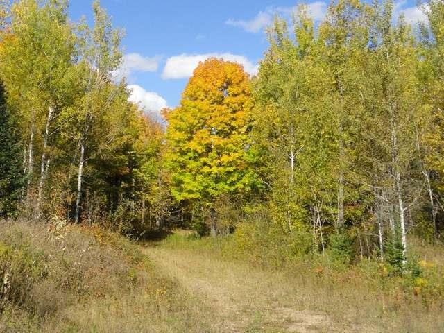 12.5 ac. Schmidt Ln, Argonne, WI 54511 - photo 1