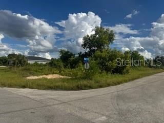 3913 14th St SW, Lehigh Acres, FL 33976 - photo 1
