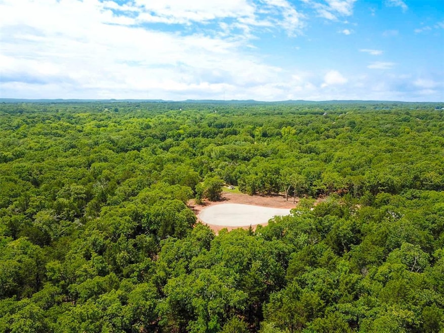 Drone / aerial view of a forest