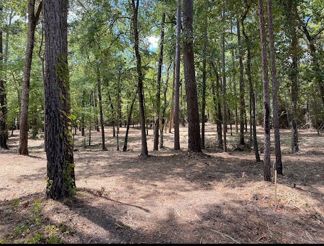 Sold • Co-Listing Agent