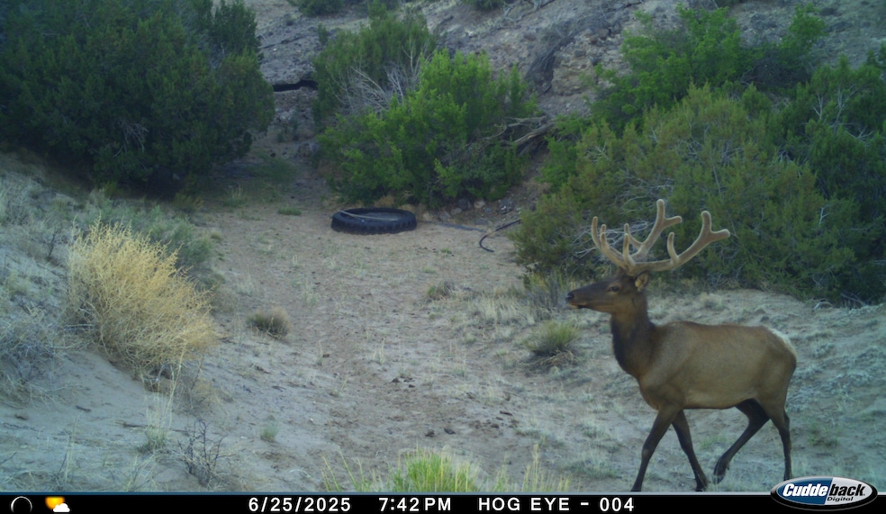 000 Tba Rd, Quemado, NM 87829 - photo 1