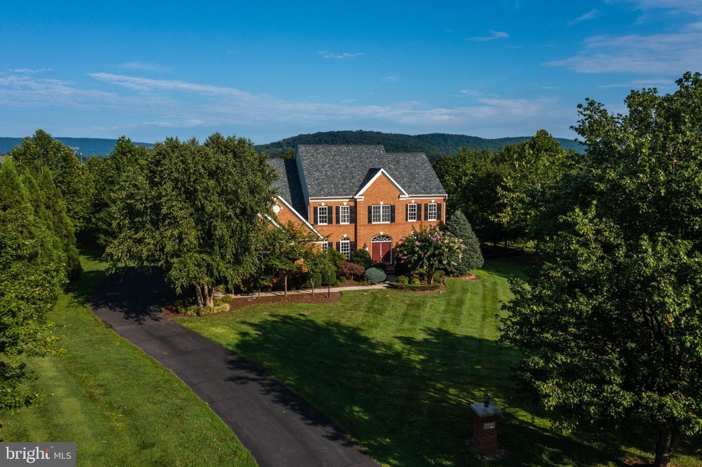 16655 Chestnut Overlook Dr, Purcellville, VA 20132 - photo 1