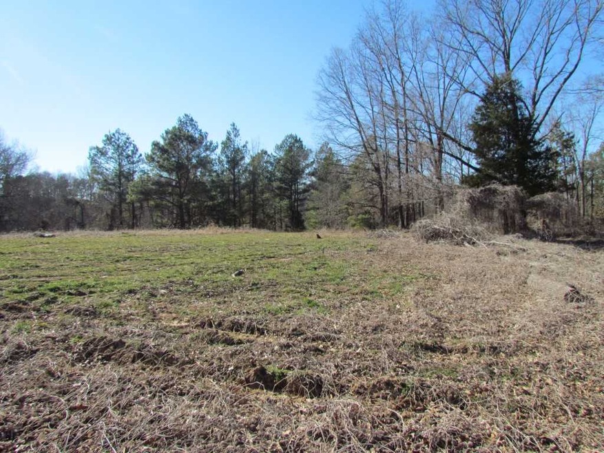 00 Gilliam Rd, Whiteville, TN 38075 - photo 1