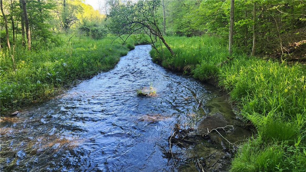 0 Tabors Corners Rd unit R1608833, Springwater, NY 14560 - photo 1