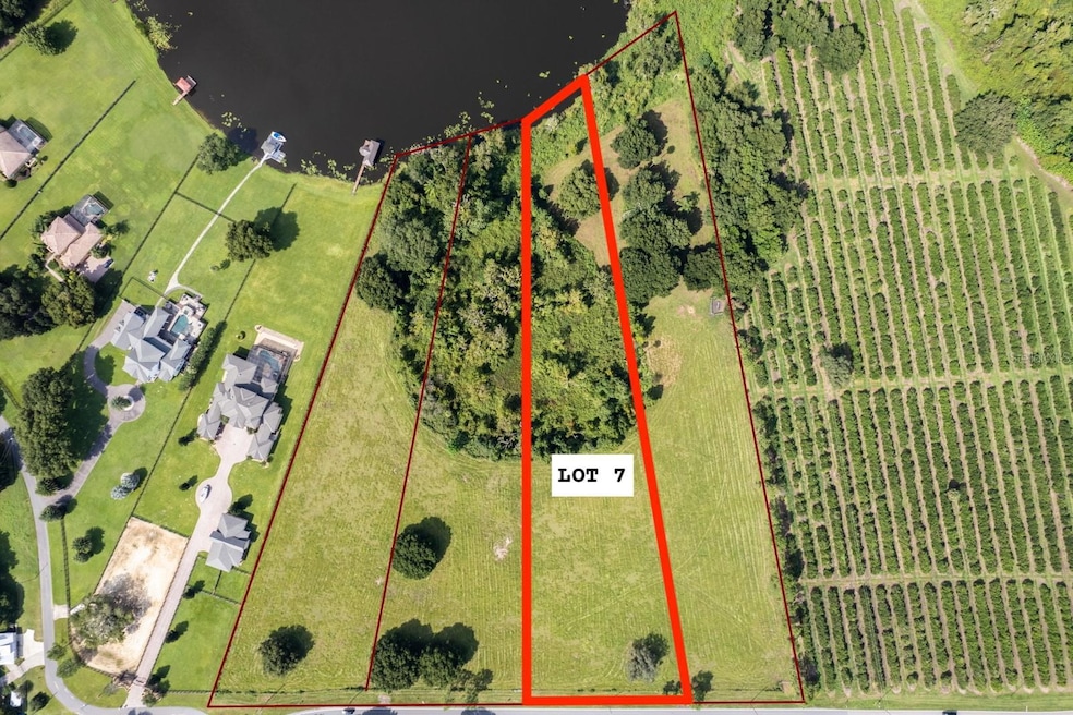 17937 County Road 448, Mount Dora, FL 32757 - photo 1