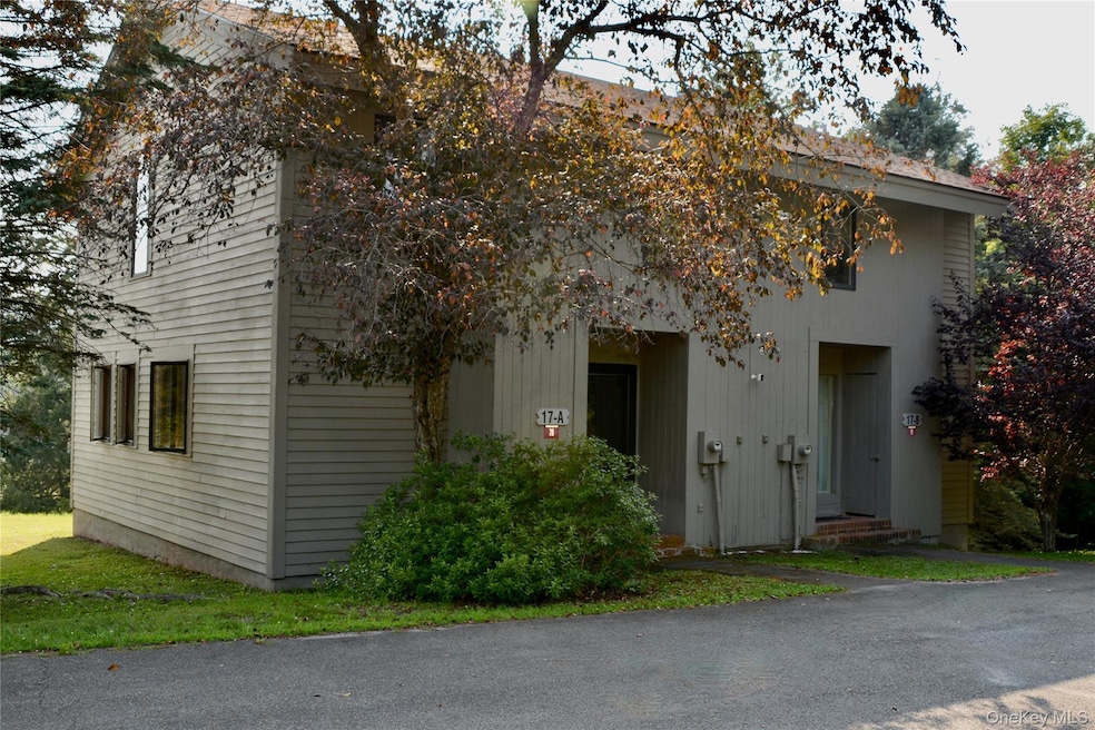 79 Windham Ridge Rd unit 17A, Windham, NY 12496 - photo 1