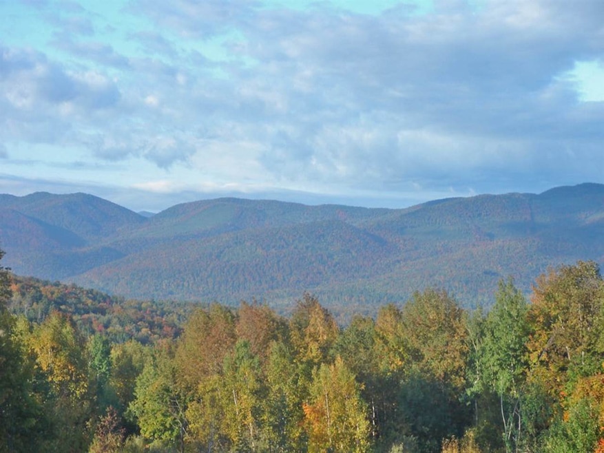2419 Cram Hill Rd, Roxbury, VT 05669 - photo 1