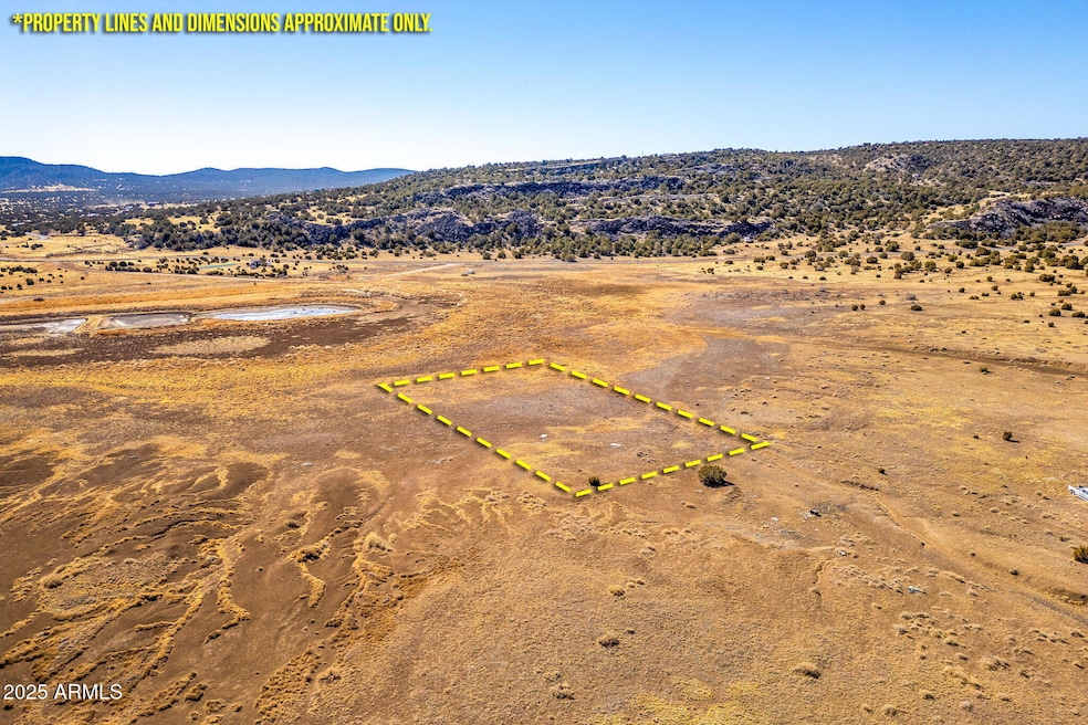 Show Low Pines Unit 5 Lot 320 -- unit 320, Concho, AZ 85924 - photo 1