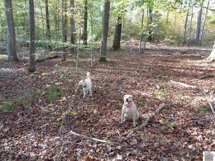 70 Shore Dr, Murray, KY 42071 - photo 1