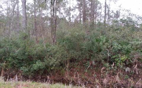 TBD Jamie Glen, Lake City, FL 32055 - photo 1