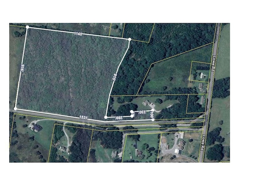 7787 Lowe Rd, Christiana, TN 37037 - photo 1