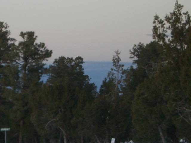 Primary Photo