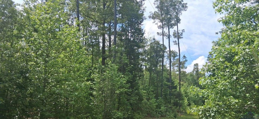 View of local wilderness