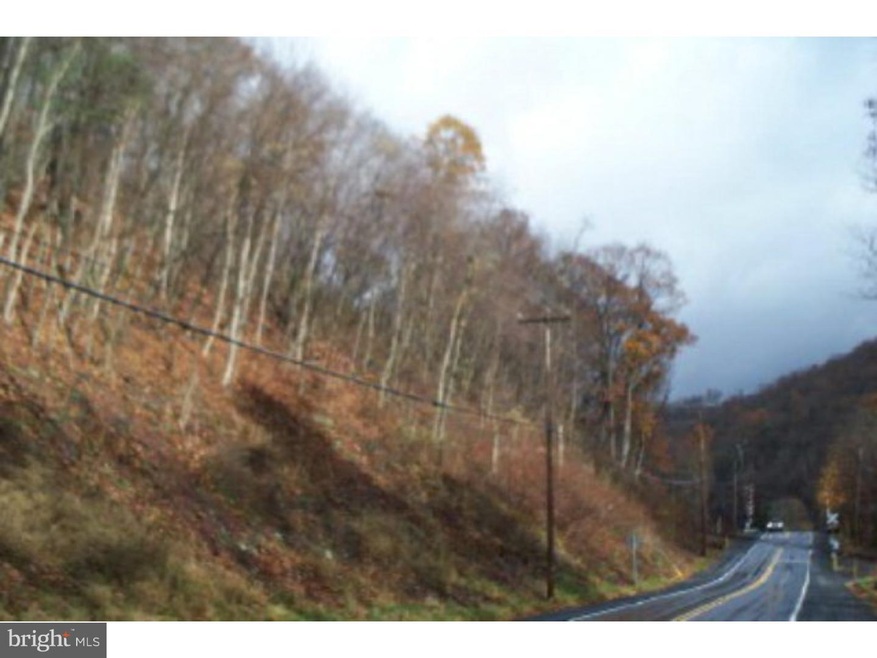 0 Lavelle Rd unit 1003191244, Butler Township, PA 17921 - photo 1