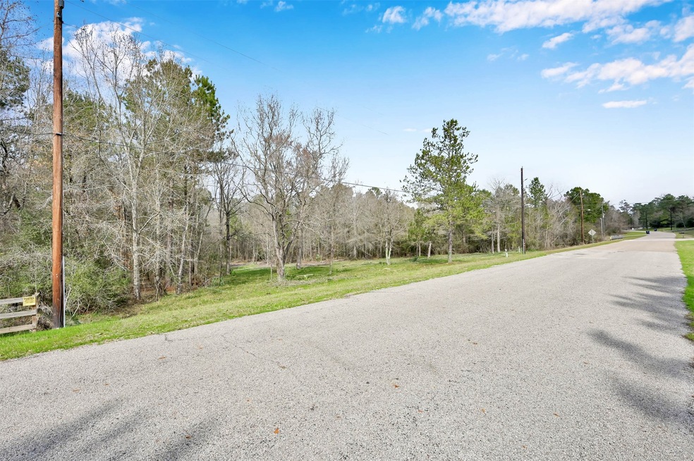 6810 W Bluff Dr, Magnolia, TX 77354 - photo 1