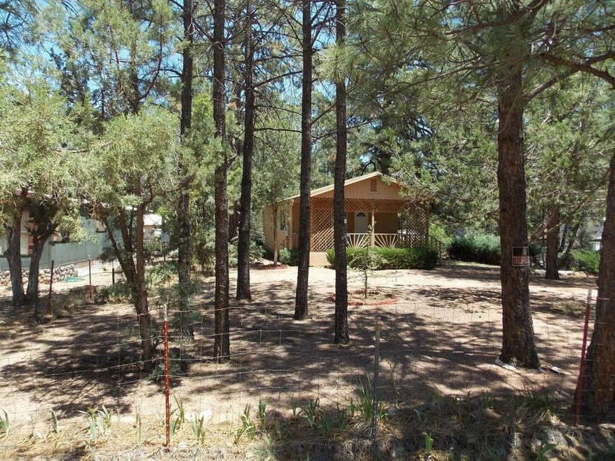2863 Big Pine 002