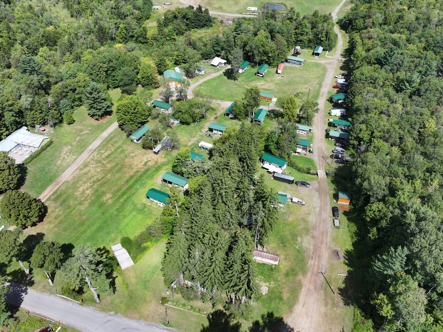 1131 Comins Rd, Osceola, NY 13437 - photo 1