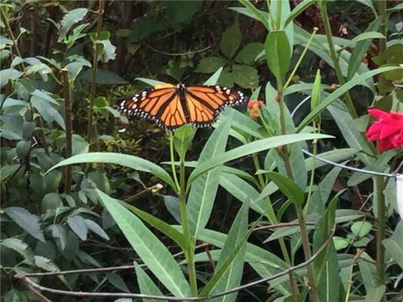 1031 Oaks Pkwy SE, Smyrna, GA 30082 - photo 1