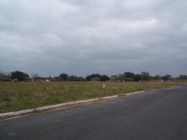 0 S Victoria Rd, Donna, TX 78537 - photo 1