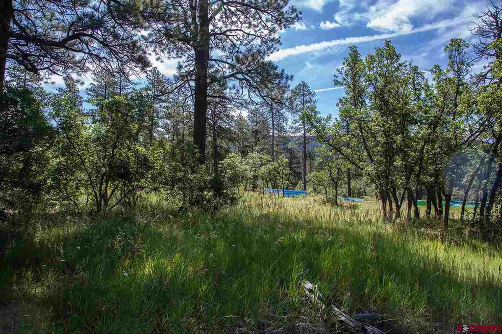 0 Lime Mesa Ct unit 707809, Durango, CO 81301 - photo 1