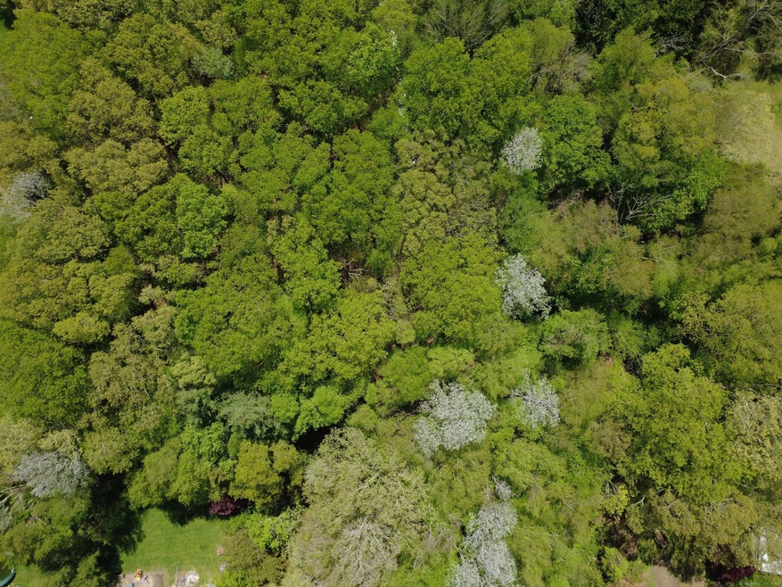 0 Bob Tail St unit 24094503, Montville, CT 06353 - photo 1