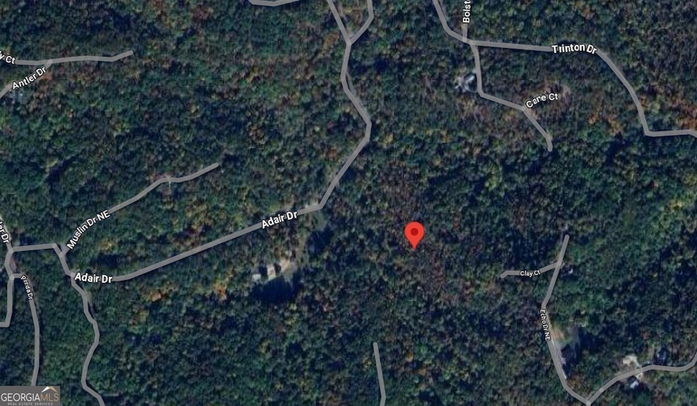 39 Adair Dr NE, Ranger, GA 30734 - photo 1