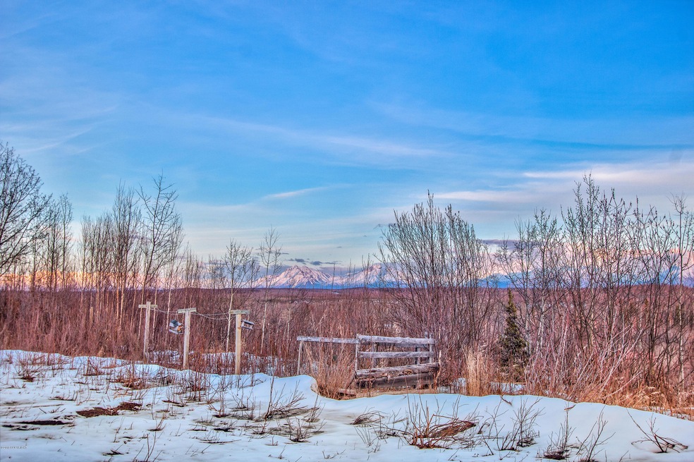 2941 S Knollwood Dr, Big Lake, AK 99623 - photo 1