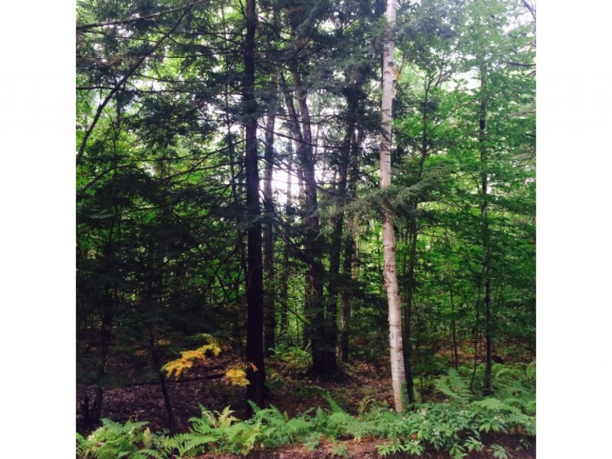 Lot 12-4 Upper Straw, Hopkinton, NH 03229 - photo 1