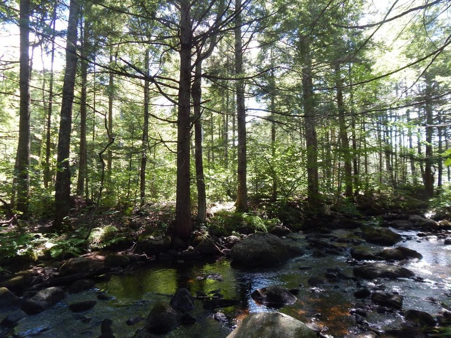 11 Valley Rd, Center Ossipee, NH 03814 - photo 1