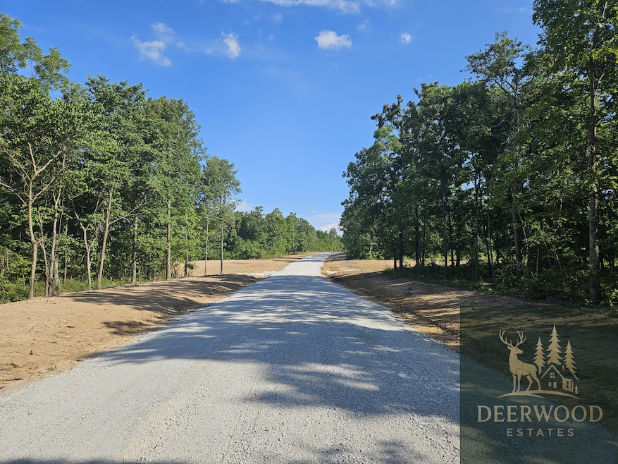 Lot 8 Deerwood Estates, Aurora, MO 65605 - photo 1