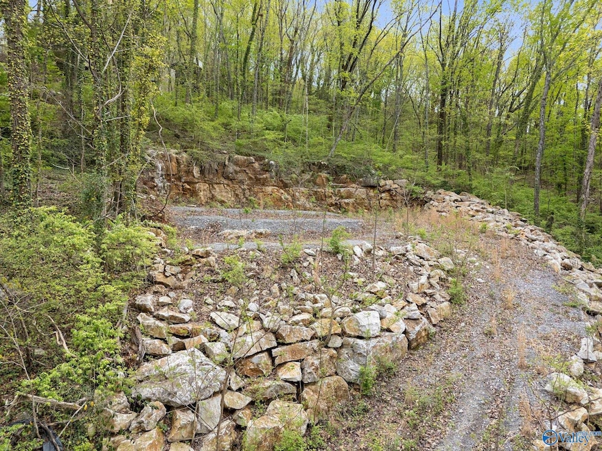 2208 Colice Rd SE, Huntsville, AL 35801 - photo 1