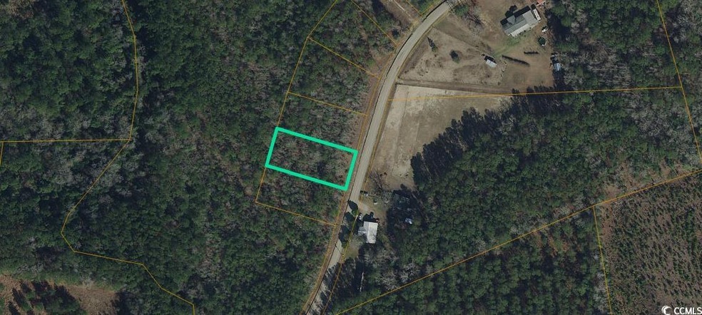 Lot 2 Mcnabb Rd, Loris, SC 29569 - photo 1