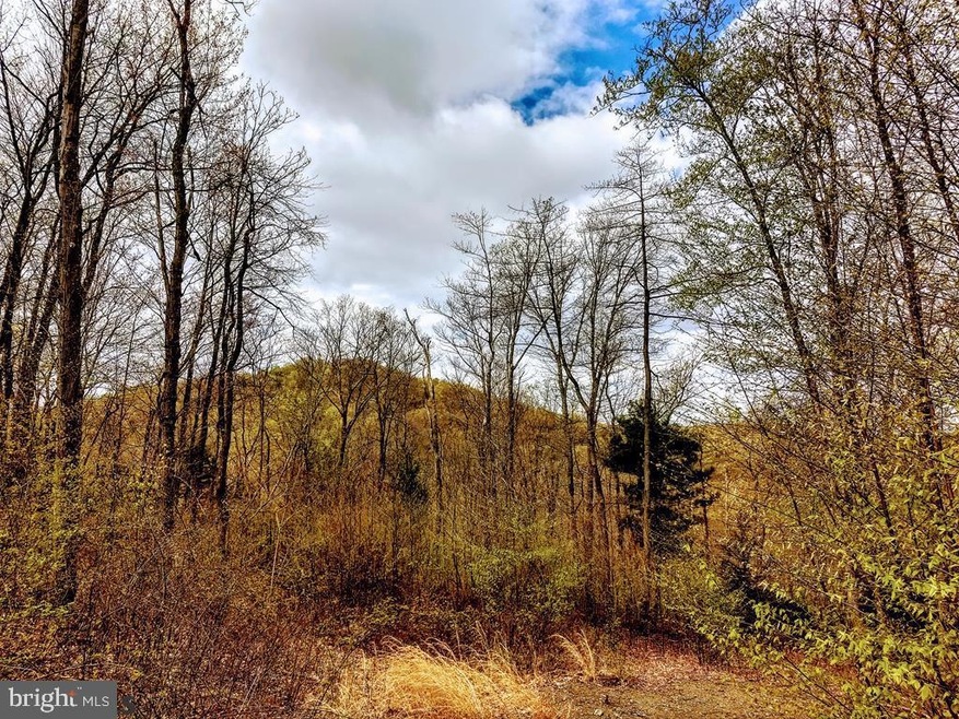 0 Bison Ridge Ln unit PAPY2002416, Newport, PA 17074 - photo 1