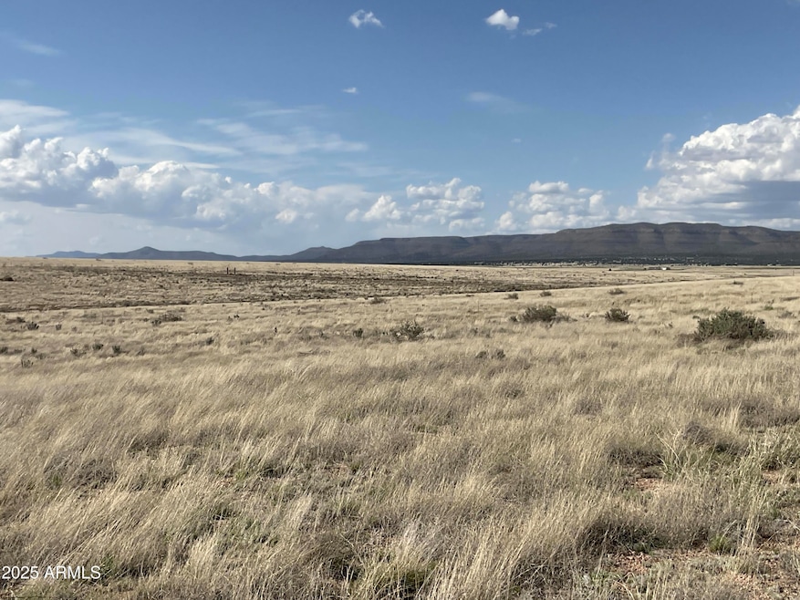 157b Red Tail Ln unit 2, Paulden, AZ 86334 - photo 1