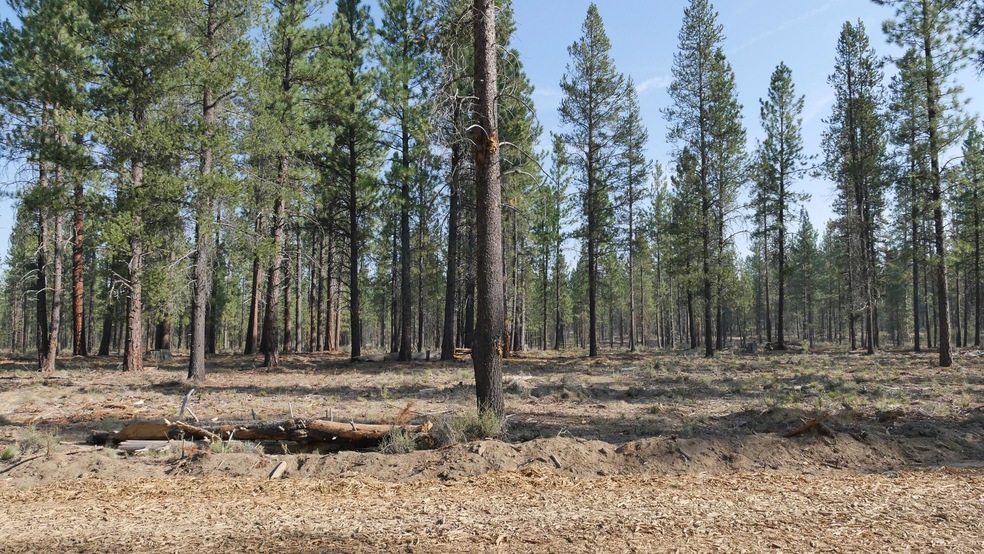 Front of homesite
