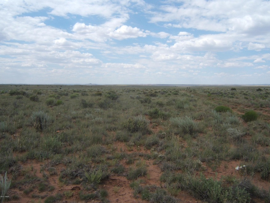 8538 Terry Trail 002