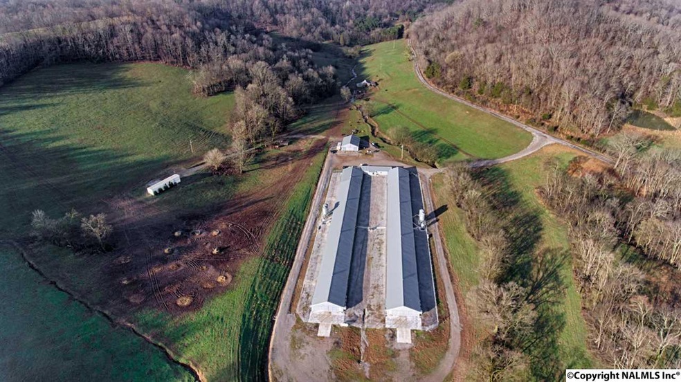 707 Petty Branch Rd, Prospect, TN 38477 - photo 1