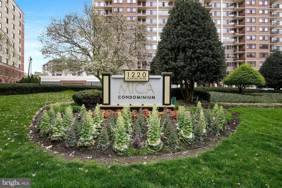 Mica Condominiums unit 200, Silver Spring, MD 20910 - photo 1