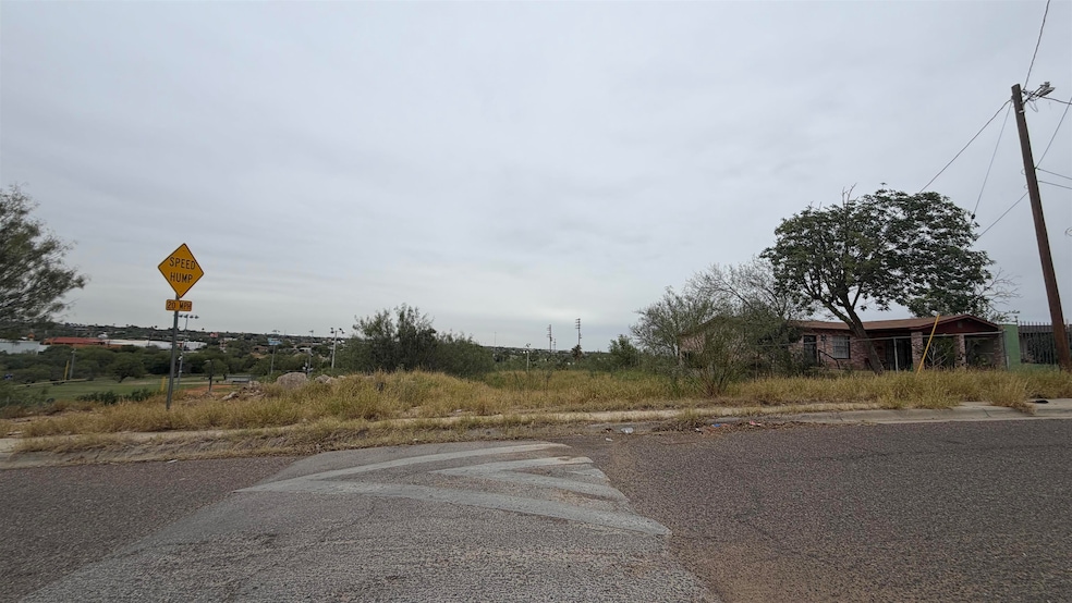 2810 Diaz St, Laredo, TX 78043 - photo 1