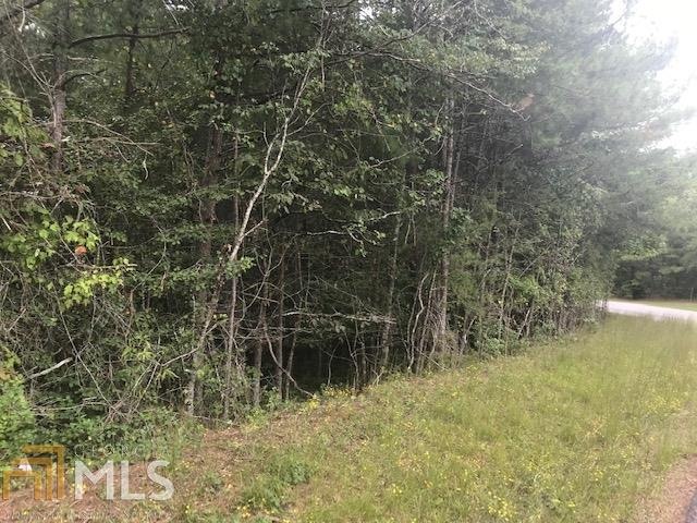 B Soque Ridge Cir unit Lot 1, Demorest, GA 30535 - photo 1