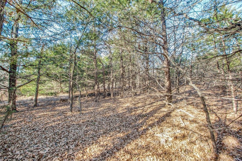 TBD9133 County Road 113, Whitesboro, TX 76273 - photo 1