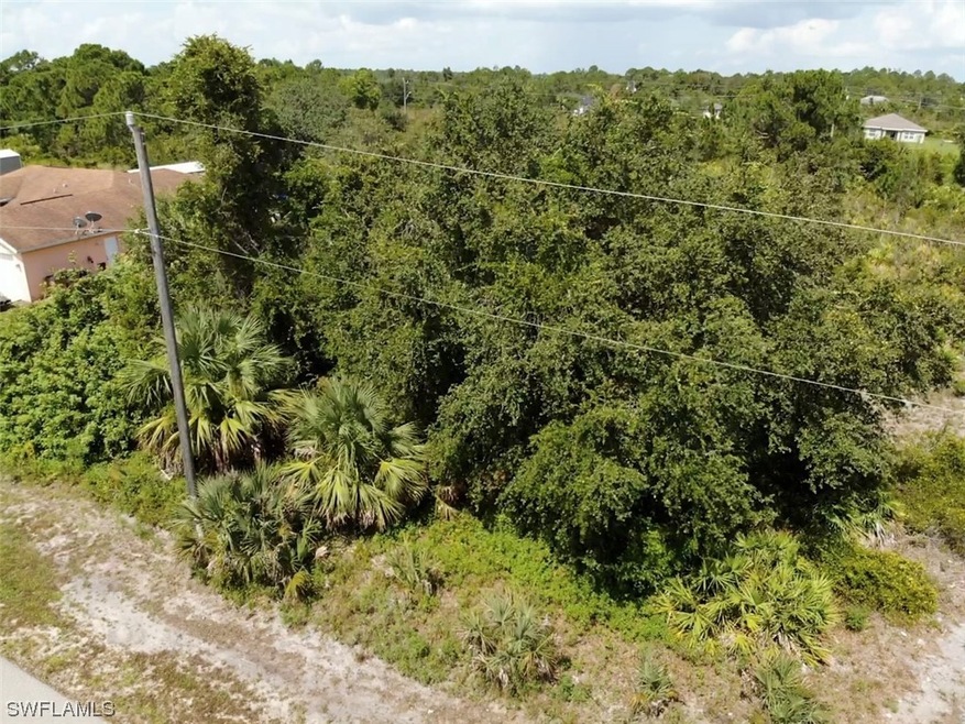 6015 Olive Ave N, Lehigh Acres, FL 33971 - photo 1