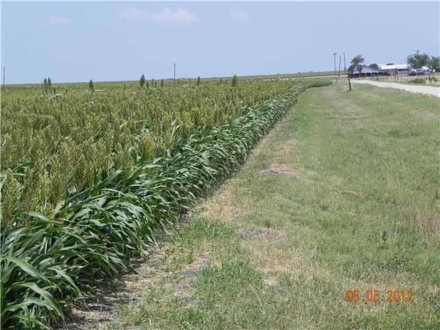 Land/Lot : Great soil and about 2100' of road fron