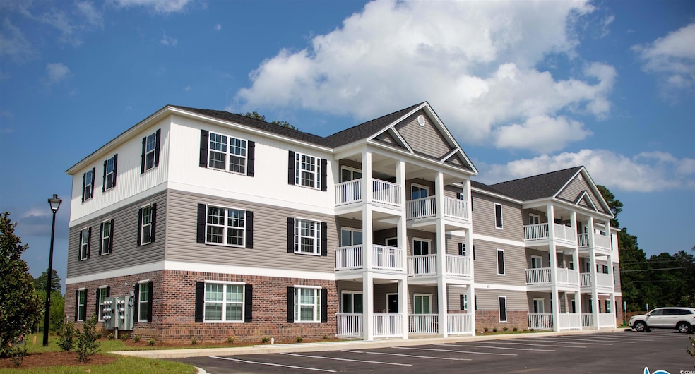 541 Black Swamp Ct unit 304, Conway, SC 29526 - photo 1