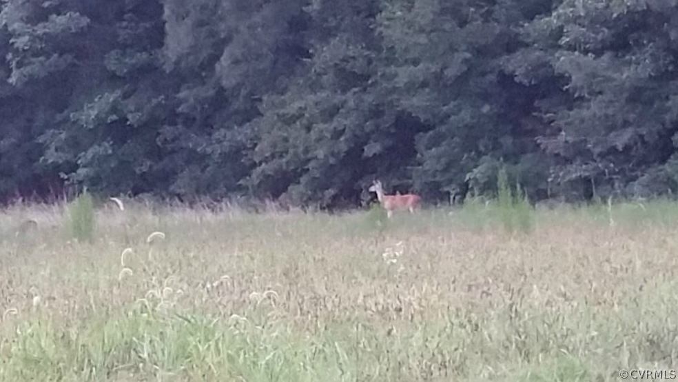 0000 Cheroy Rd, Ashland, VA 23005 - photo 1